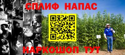ГАЛЛЮЦИНОГЕННЫЕ ГРИБЫ Аргун