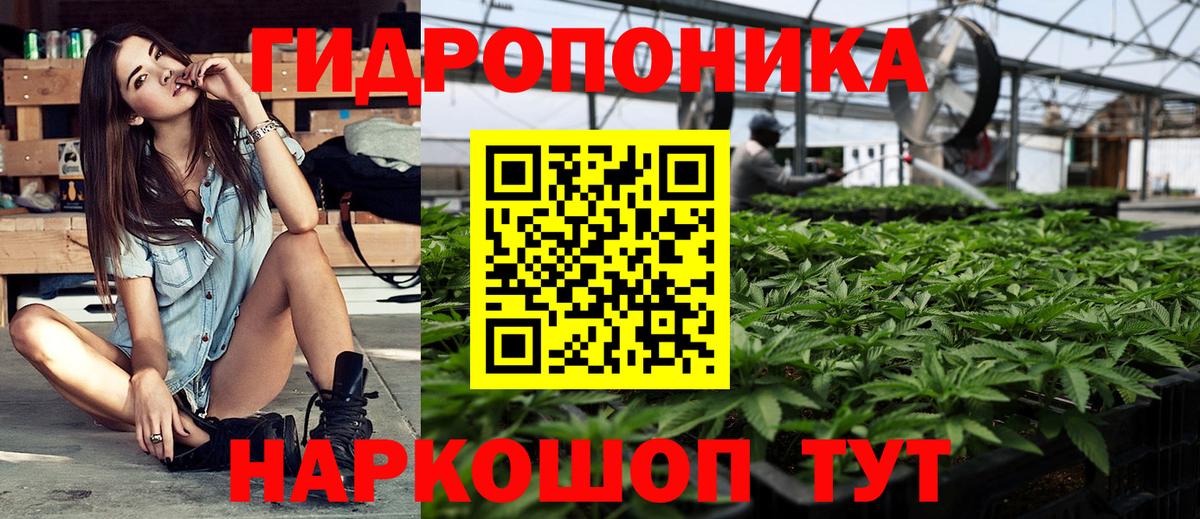 Марихуана OG Kush  Марихуана сатива  Бошки Шишки MAZAR  Вольск  Вход с VPN  Марихуана AK-47 